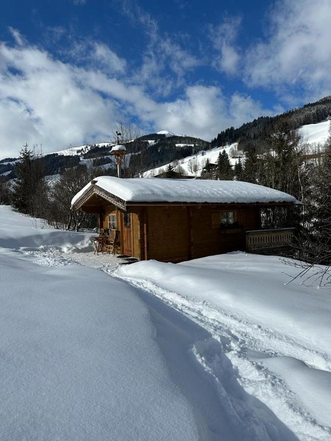 Baerenbach - Almhuette Apartamento