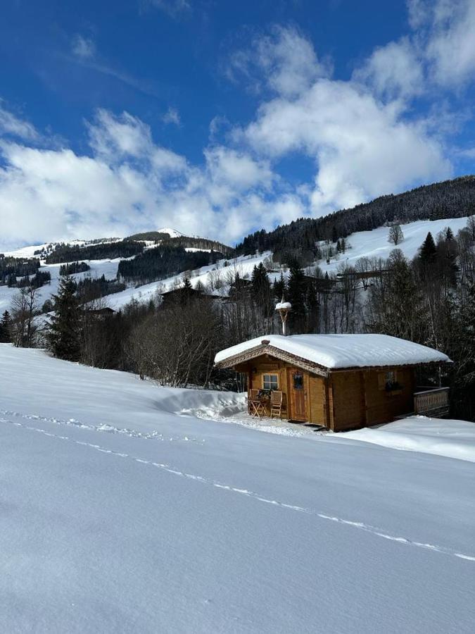 Baerenbach - Almhuette * Saalbach-Hinterglemm